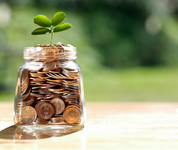 Mutual Fund Advisory illustration